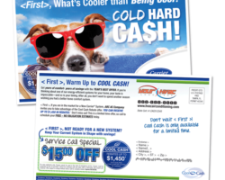 8.8 x 5.5 System Rebate Postcard